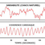 activite_cardiaque_courbes