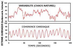 activite_cardiaque_courbes