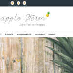 pineapple storm blog