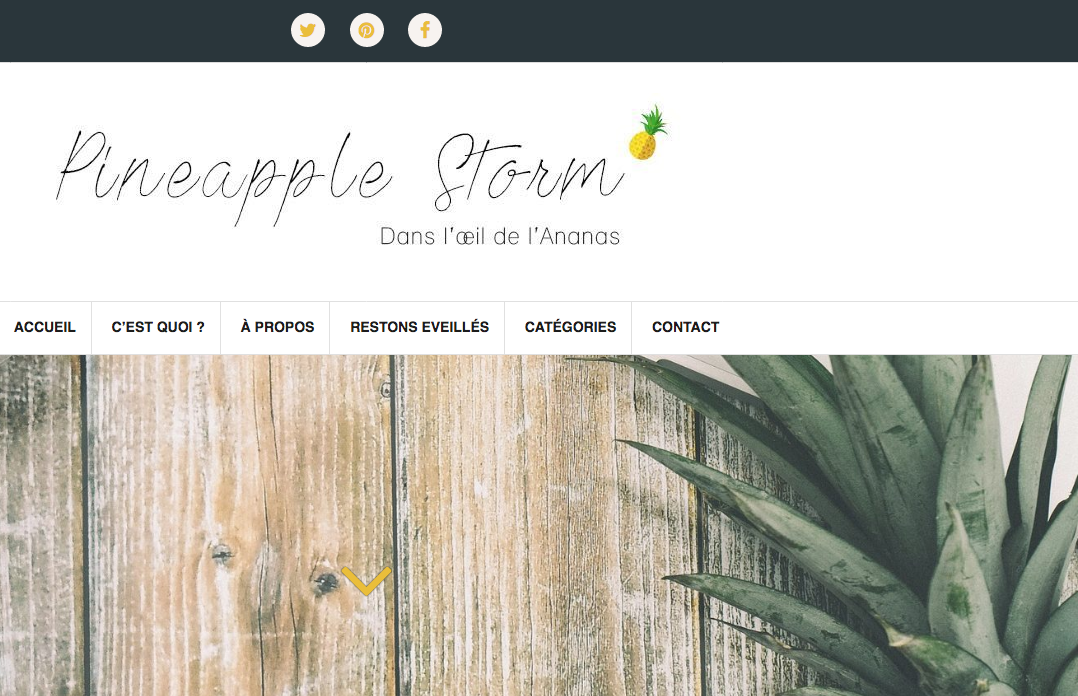 pineapple storm blog