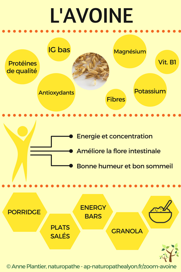 avoine infographie nutrition