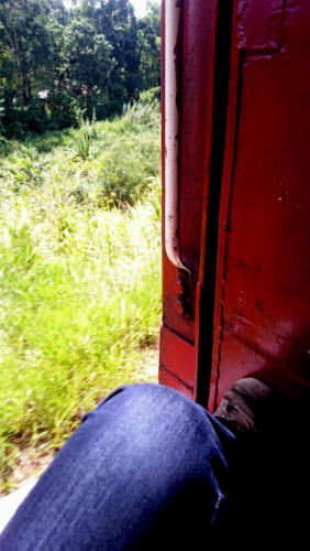 Ma place préférée dans les trains sri lankais : assise à la porte, pour admirer les paysages qui défilent