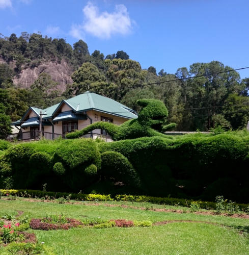 Dans les jardins du Grand Hotel