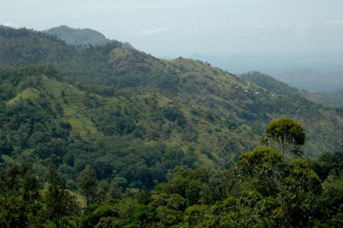 Vue du Little Adam's Peak